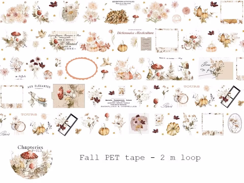 Chapteries PET Tape - Fall (Kiss-Cut) 50 mm
