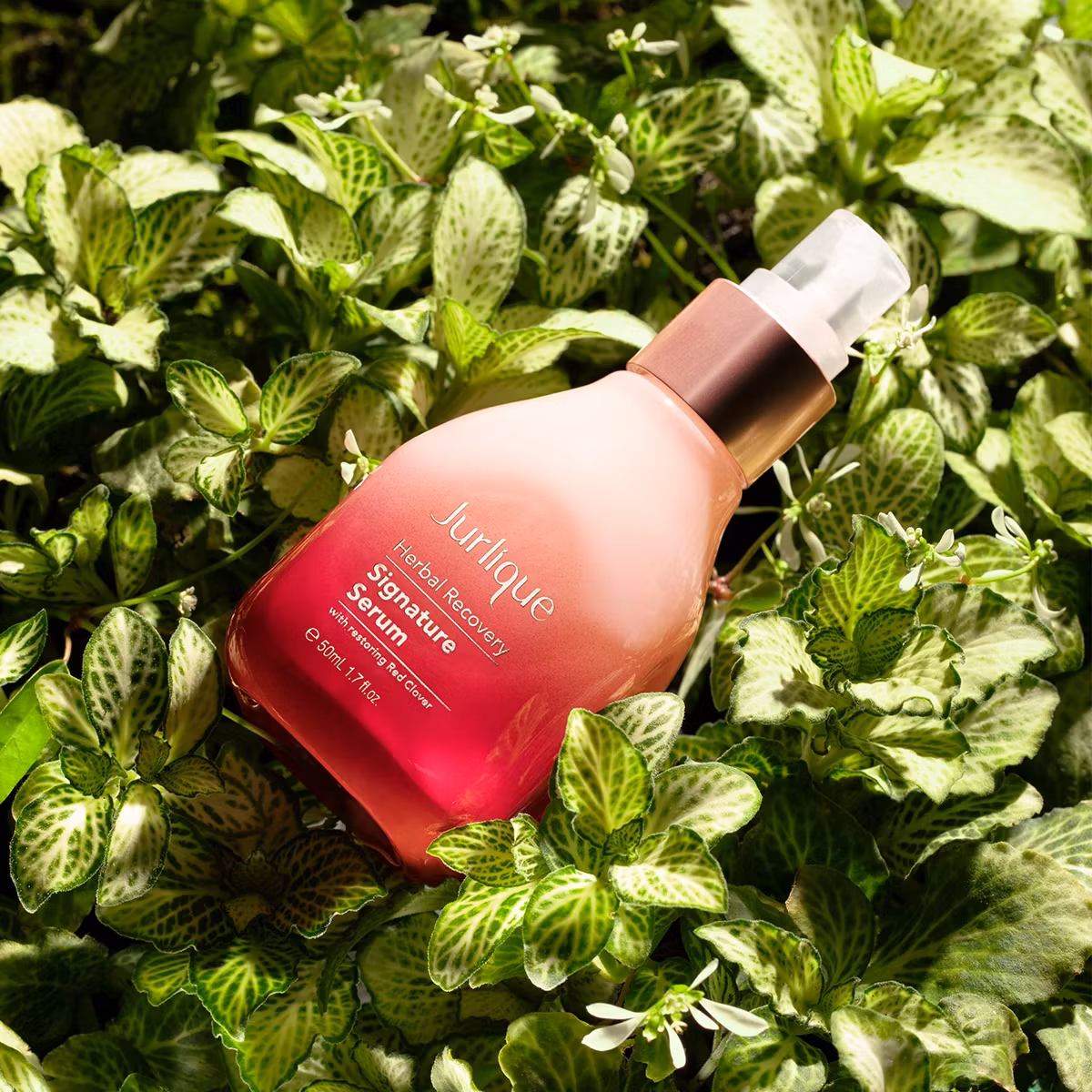 Jurlique Herbal Recovery Signature Serum 50 ml