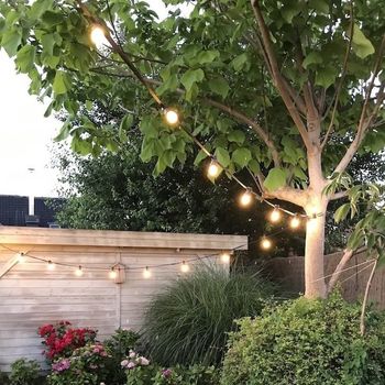 Catena Luminosa da Esterno Set Completo con Lampadine LED Sostituibili - da 5 a 100 metri