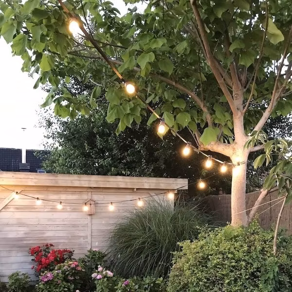 Lichtsnoeren complete set met vervangbare LED gloeilampen - 5 tot 100 meter