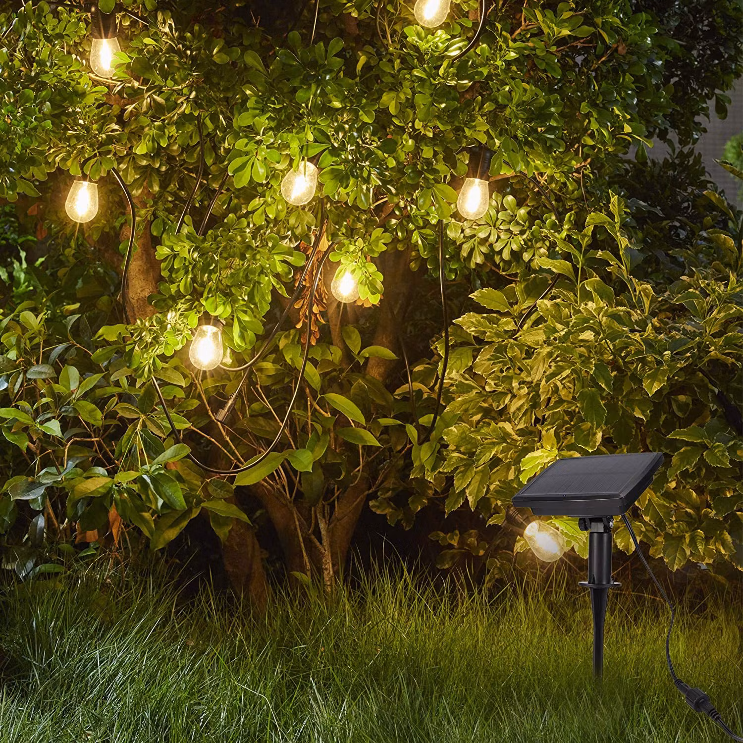 LY Sweden Premium Lichterkette mit Solar-Panel 10-20 m mit 10-30 wechselbaren LED-Lampen - Solare Energiebeleuchtung
