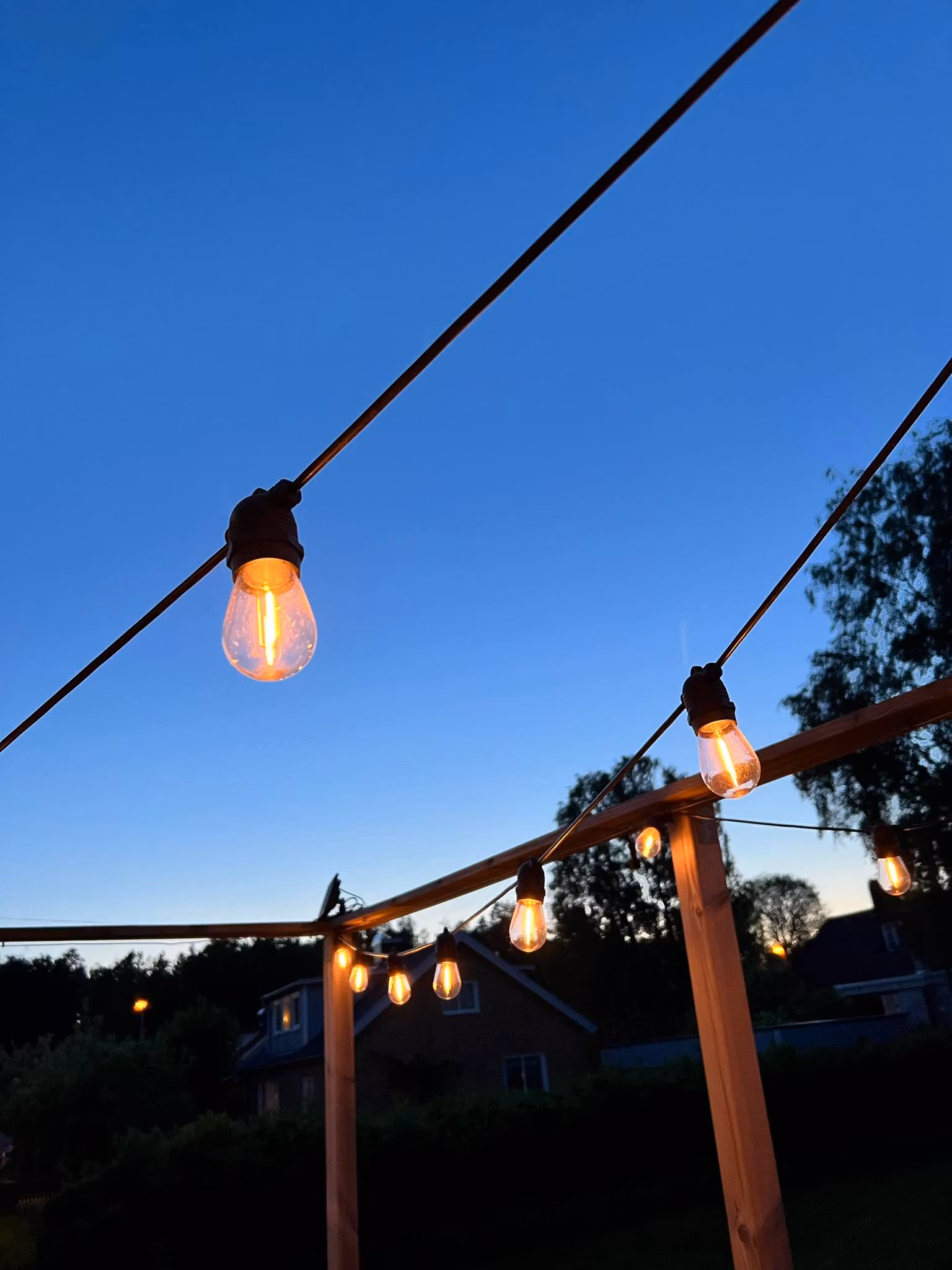 LY Sweden Premium Guirlande Solaire - 20 à 50 mètres avec lampes solaires remplaçables - variateur intégré et télécommande