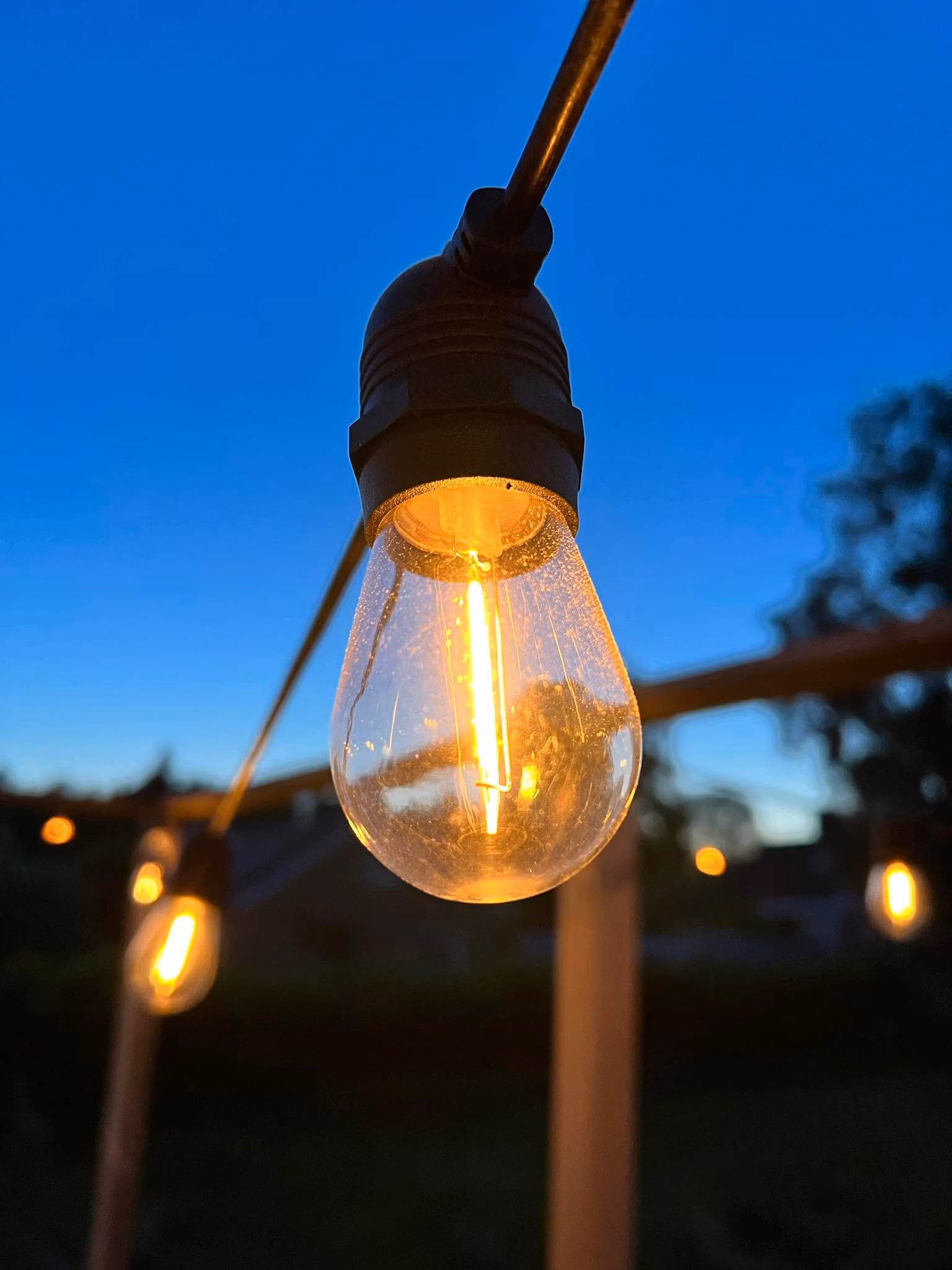 LY Sweden Premium Guirlande Solaire - 20 à 50 mètres avec lampes solaires remplaçables - variateur intégré et télécommande