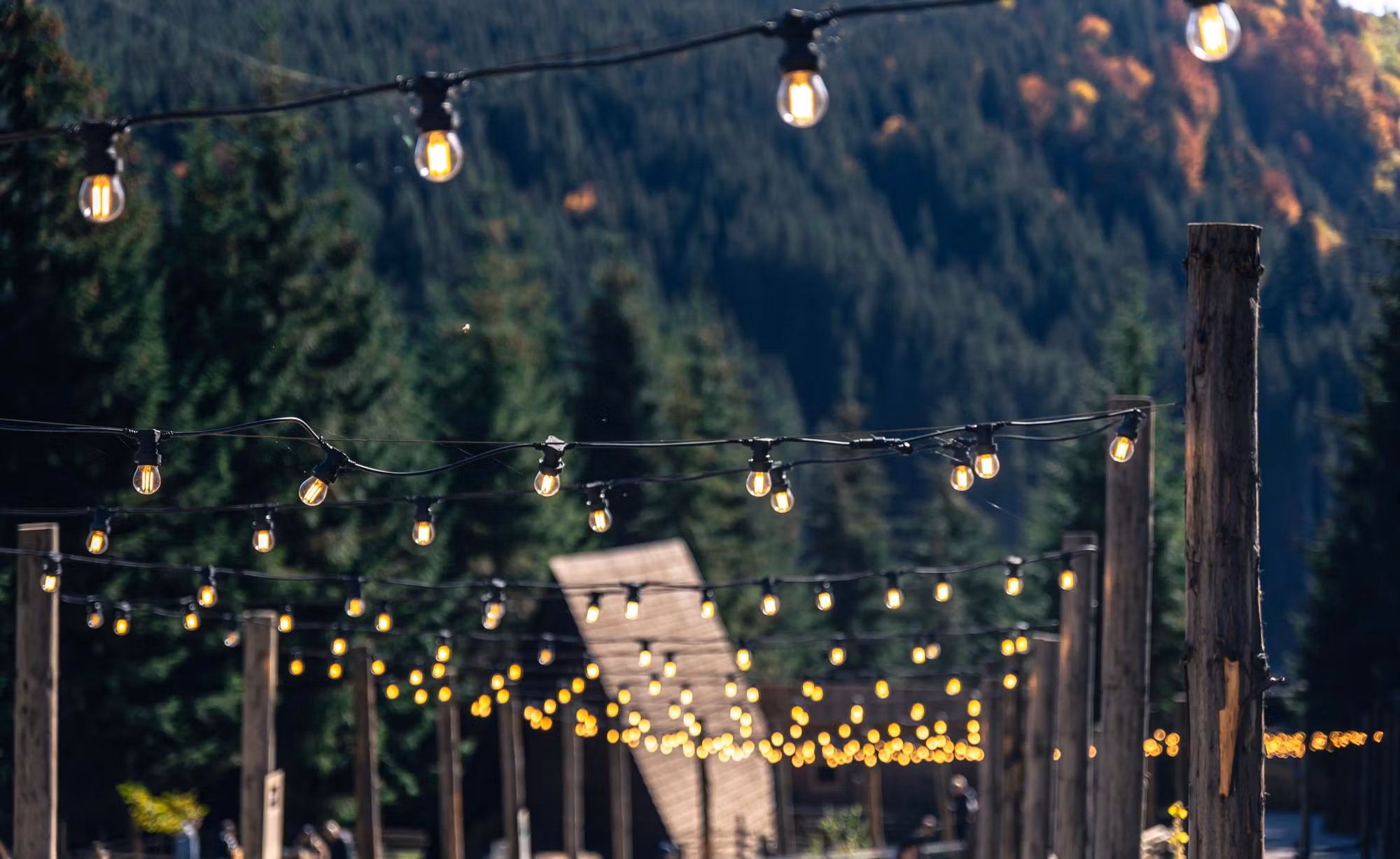 LY Sweden Premium outdoor string lights - outdoor lighting 15-100 meter with replaceable E27 LED bulbs