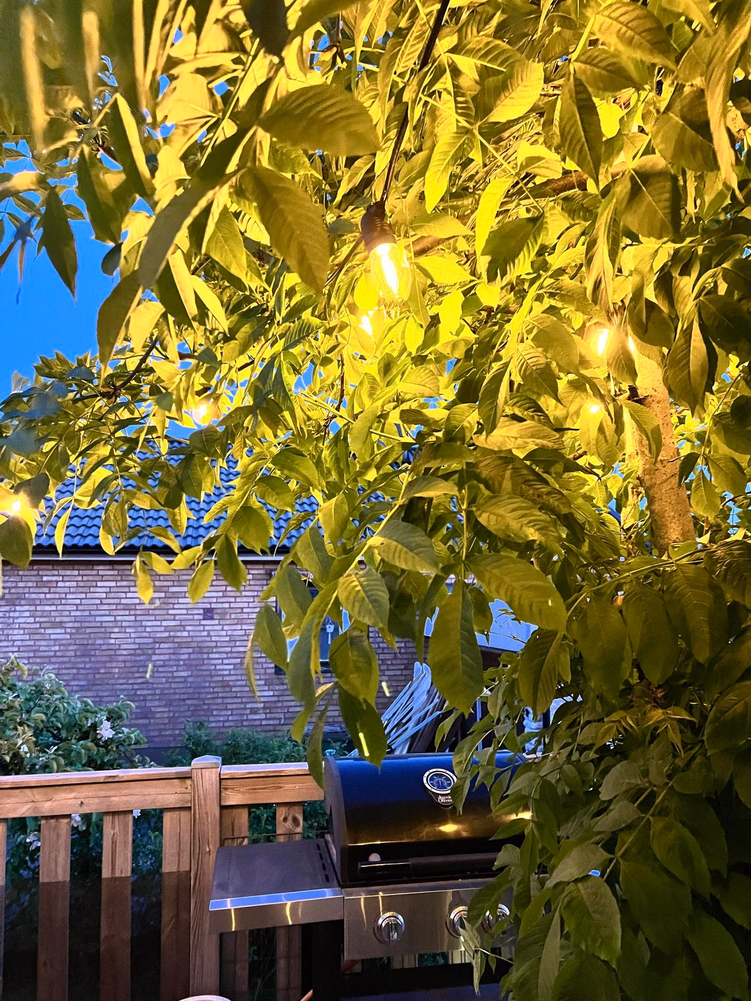 LY Sweden Premium outdoor string lights - outdoor lighting 15-100 meter with replaceable E27 LED bulbs