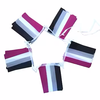Flaggspel mini 6,6 m ASEXUELL