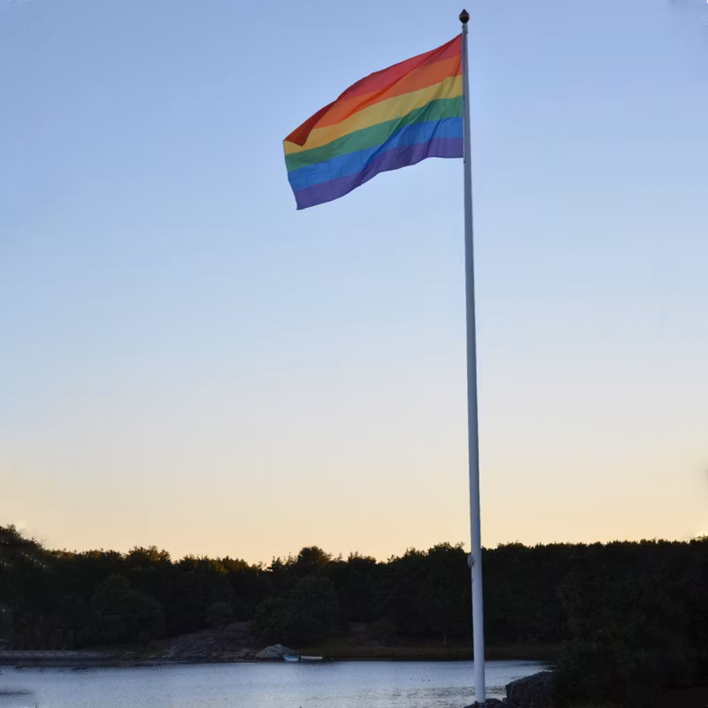 Flagga flaggstång PRIDE 150x280 cm