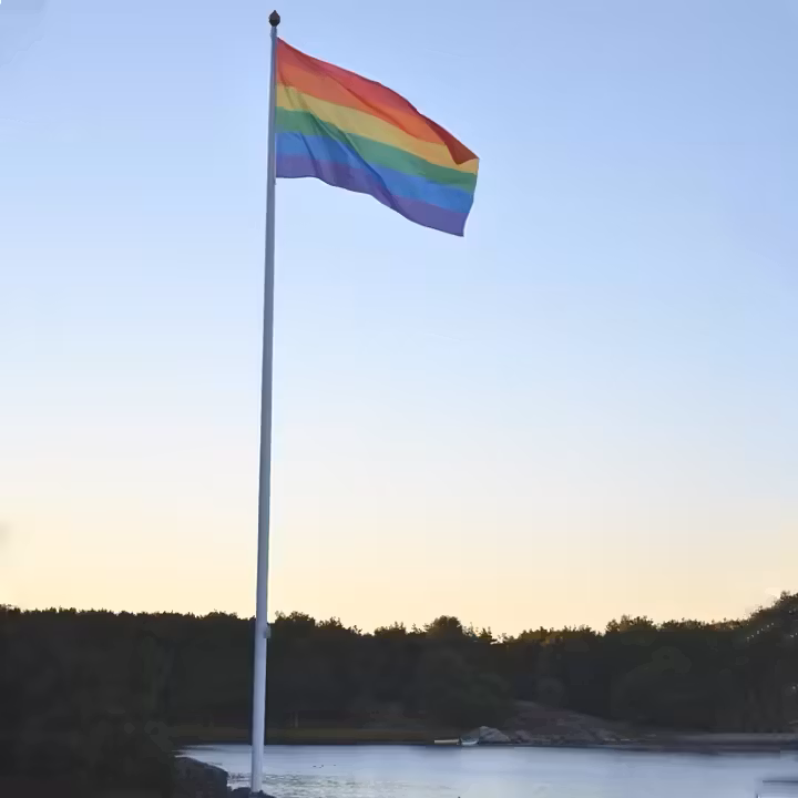 Flagga Flaggstång PRIDE 150x250 cm