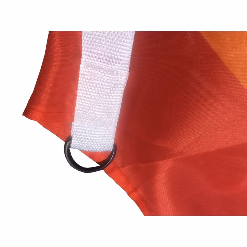 Flagga flaggstång PRIDE 300 x 450 cm