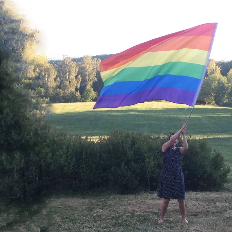 Flagga inkl. Teleskop Pride 150 x 230