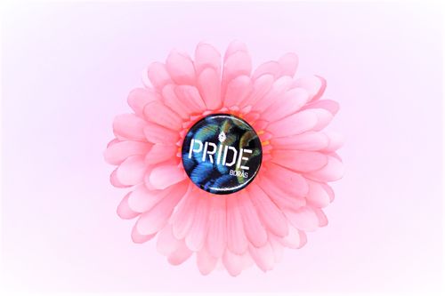 Badge BORÅS PRIDE