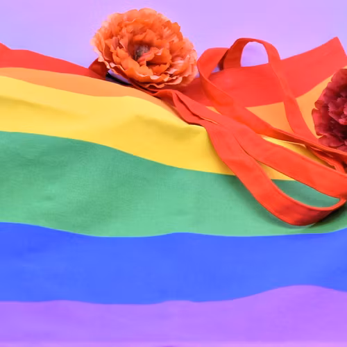 Tygväska Bomull PRIDE