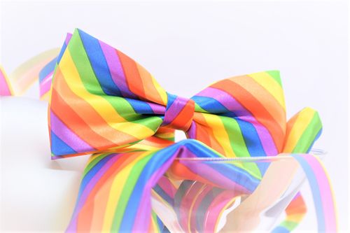 Fluga PRIDE vuxen inkl. näsduk