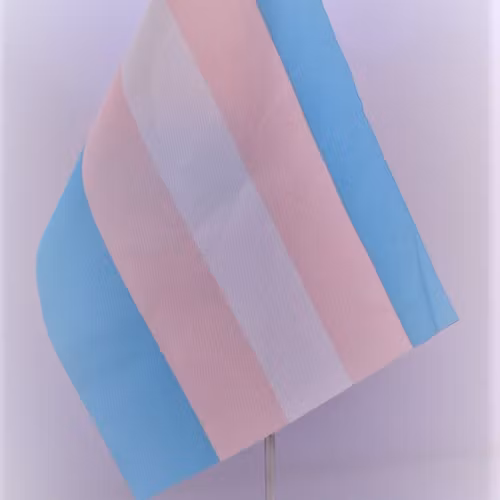 Bordsflagga glasfot TRANS