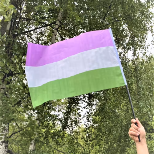 Flagga på pinne 40 x 60 cm GENDERQUEER