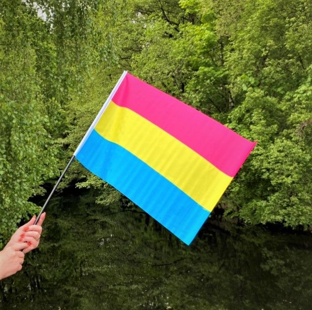Flagga på pinne 40 x 60 cm PANSEXUELL