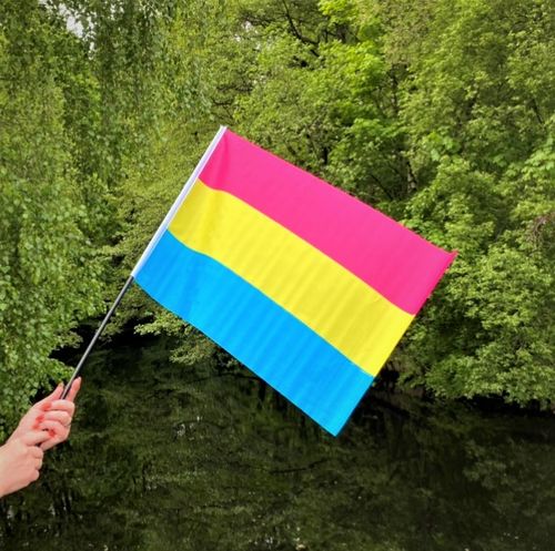 Flagga på pinne 40 x 60 cm PANSEXUELL