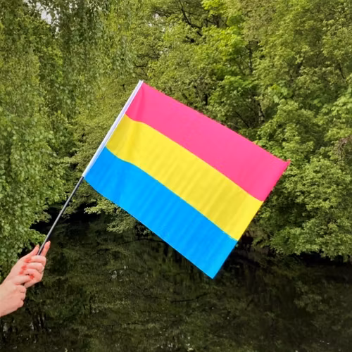 Flagga på pinne 40 x 60 cm PANSEXUELL