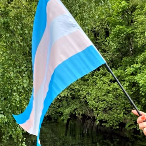 Flagga på pinne 40 x 60 cm TRANS
