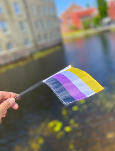 Liten flagga på pinne 15 x 10,5 cm ICKEBINÄR