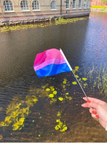Liten flagga på pinne 21 x 14 cm BISEXUELL