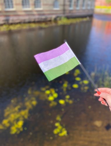 Liten flagga på pinne 21 x 14 cm GENDERQUEER