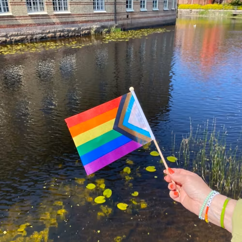 Liten flagga på pinne 21 x 14 cm PROGRESS PRIDE