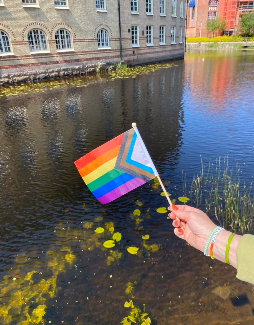 Liten flagga på pinne 21 x 14 cm PROGRESS PRIDE