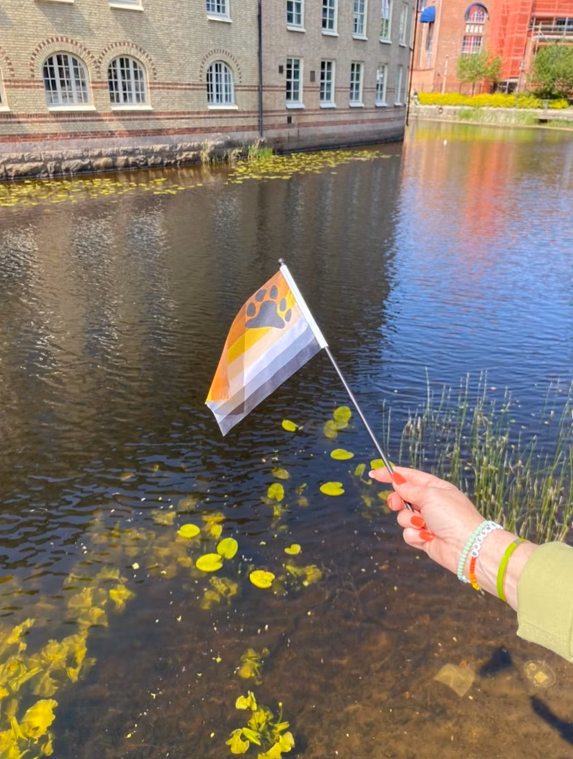 Liten flagga på pinne 21 x 14 cm BJÖRN