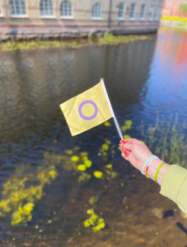 Liten flagga på pinne 21 x 14 cm INTERSEX