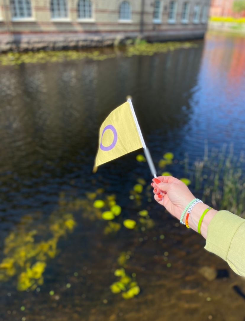 Liten flagga på pinne 21 x 14 cm INTERSEX