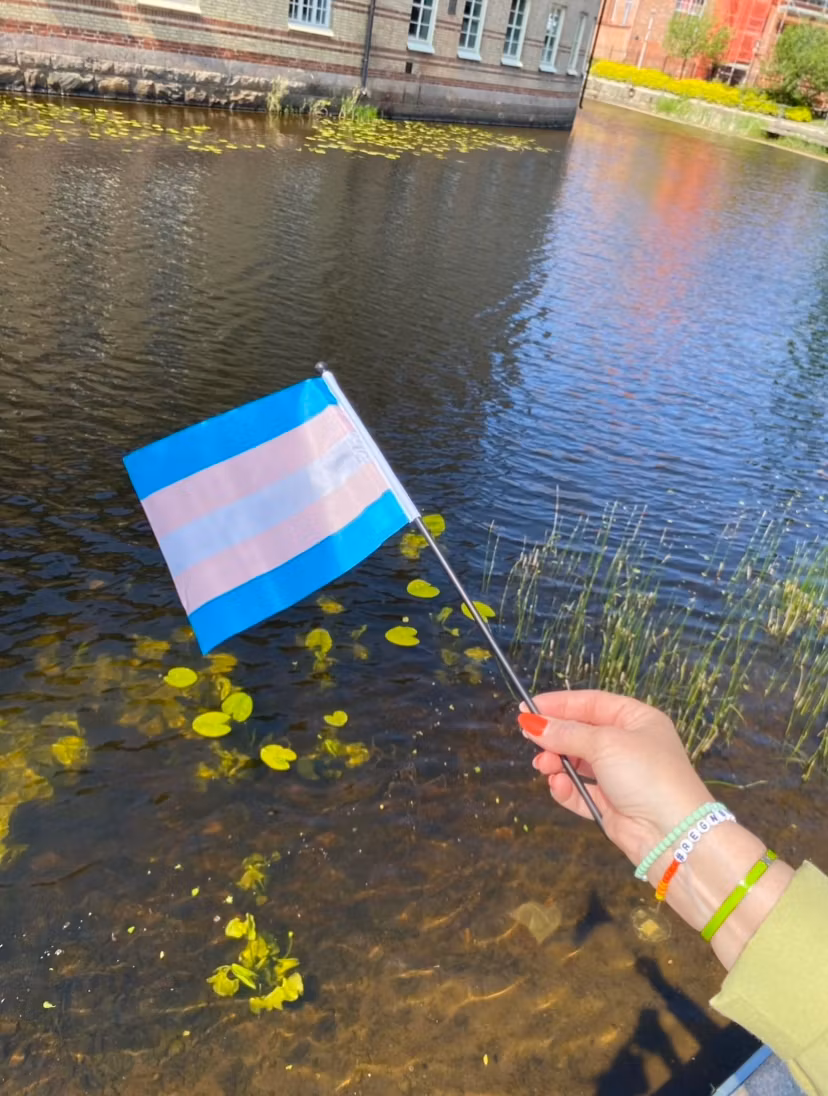 Liten flagga på pinne 21 x 14 cm TRANS