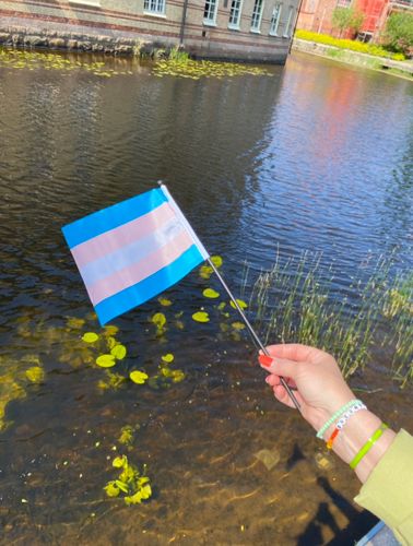 Liten flagga på pinne 21 x 14 cm TRANS