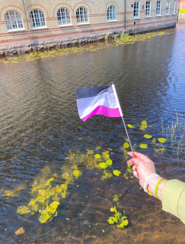 Liten flagga på pinne 21 x 14 cm ASEXUELL