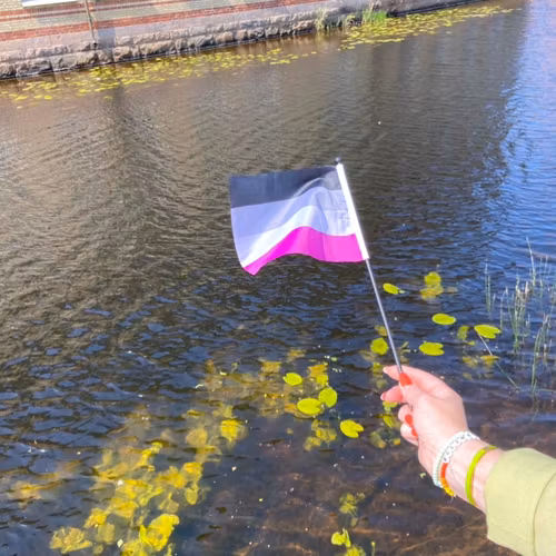 Liten flagga på pinne 21 x 14 cm ASEXUELL