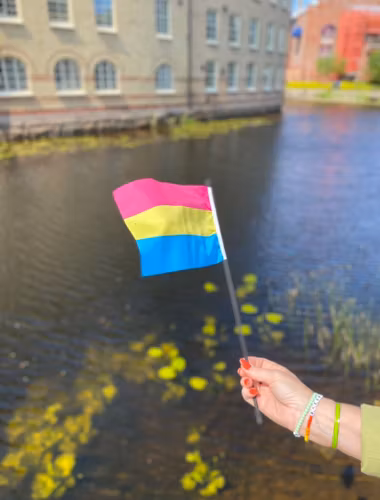 Liten flagga på pinne 21 x 14 cm PANSEXUELL