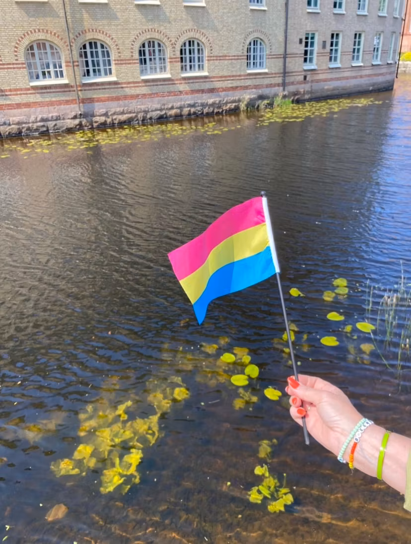 Liten flagga på pinne 21 x 14 cm PANSEXUELL