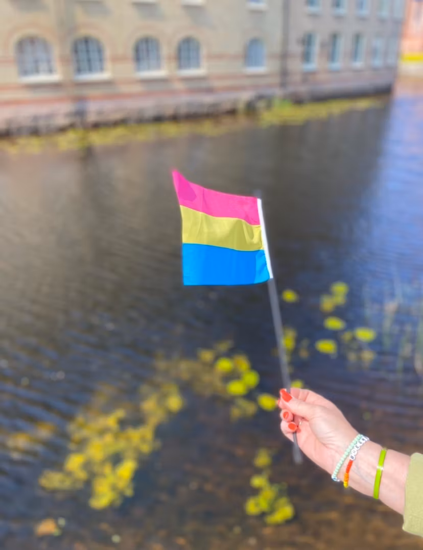Liten flagga på pinne 21 x 14 cm PANSEXUELL