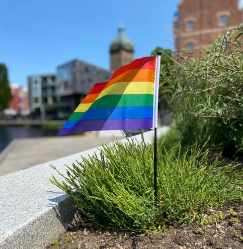 Liten flagga på pinne 21 x 14 cm PRIDE