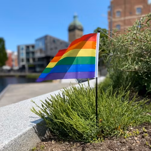 Liten flagga på pinne 21 x 14 cm PRIDE