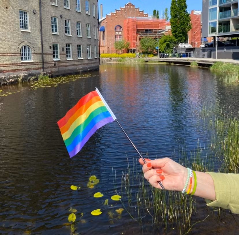 Liten flagga på pinne 21 x 14 cm PRIDE