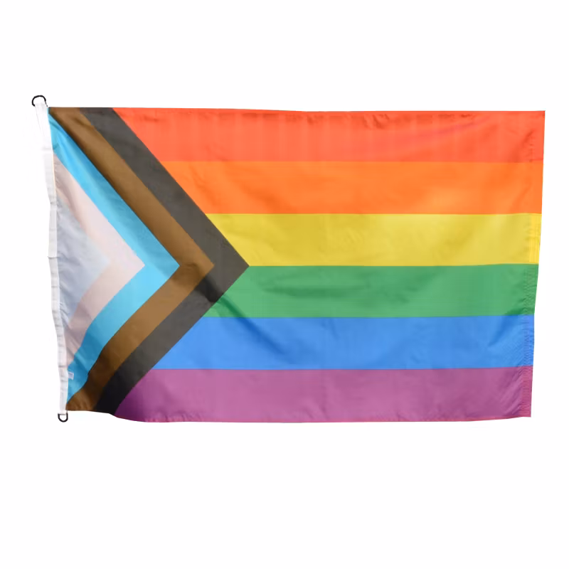 Flagga PROGRESS PRIDE 90 x 150 cm