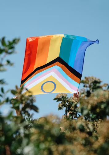 Flagga 90 x 150 cm INTERSEX PROGRESS PRIDE