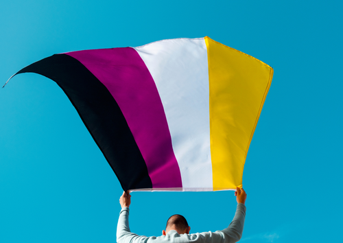 Flagga ICKEBINÄR 90 x 150 cm