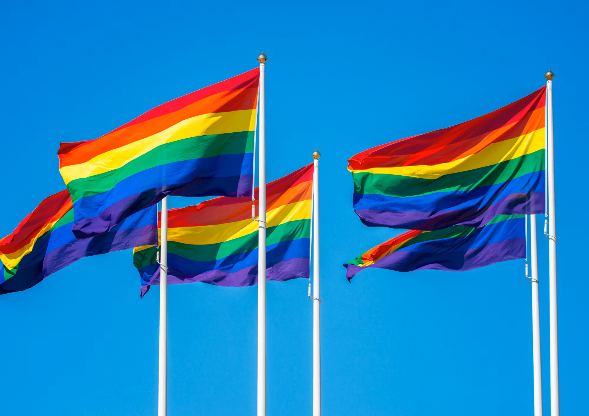 Flagga Flaggstång PRIDE 150x250 cm