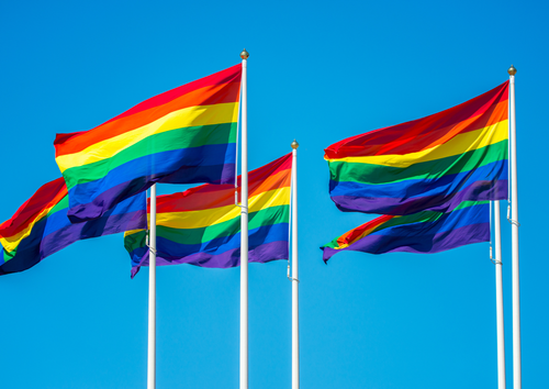 Flagga Flaggstång PRIDE 150x250 cm