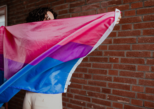 Flagga BISEXUELL 90 x 150 cm