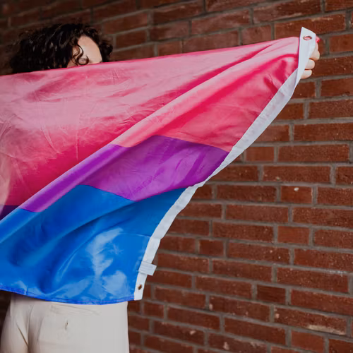 Flagga BISEXUELL 90 x 150 cm