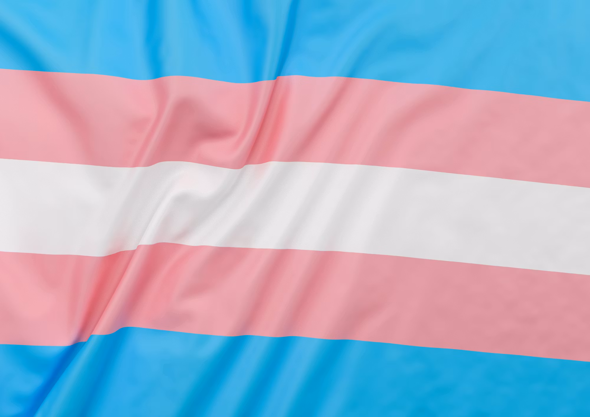 Flagga flaggstång TRANS 150x280 cm