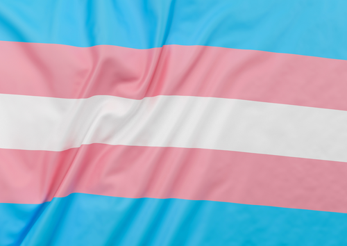 Flagga flaggstång TRANS 150x280 cm